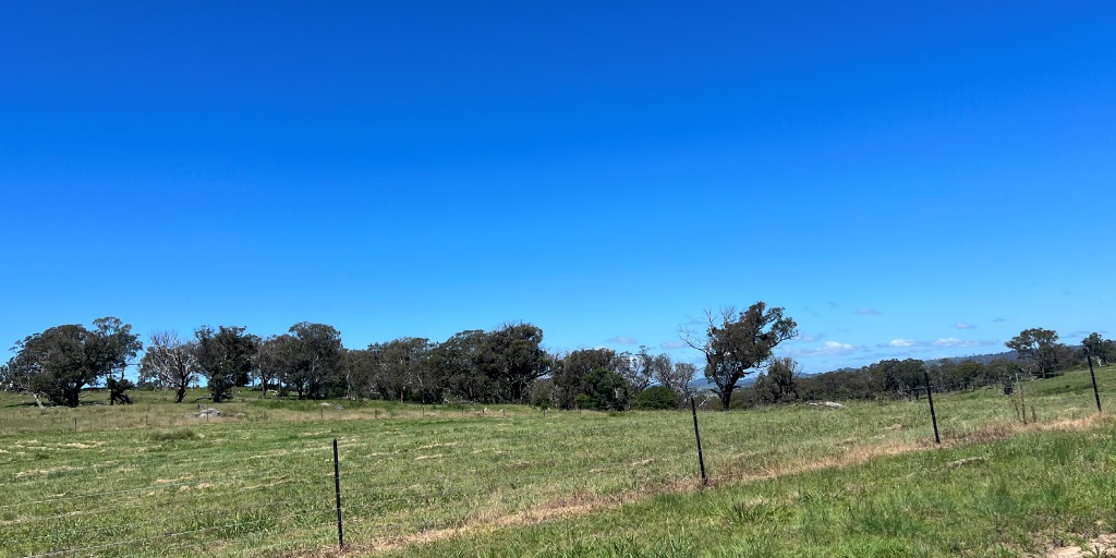 [Land for Sale] Tenterfield Rise Estate, Tenterfield OpenLot